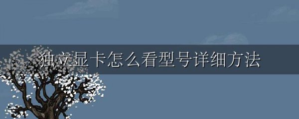 独立显卡怎么看型号详细方法