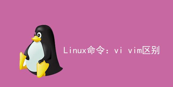 linux命令:vi和vim区别是什么【详细解答】