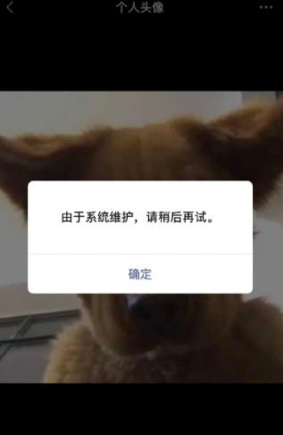 微信换不了头像什么原因?