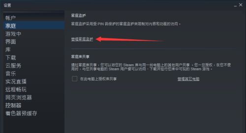 steam家庭共享最多几个人详情