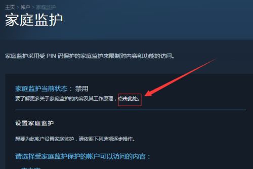 steam家庭共享最多几个人详情