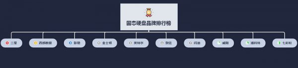 固态硬盘十大品牌排行榜