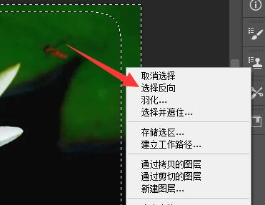 ps图片边缘虚化教程