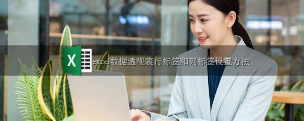 excel数据透视表行标签和列标签设置方法