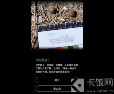 蚂蚁森林保护地巡护答案 蚂蚁森林保护地巡护答案大熊猫最爱吃的竹子