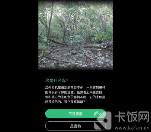 蚂蚁森林保护地巡护答案