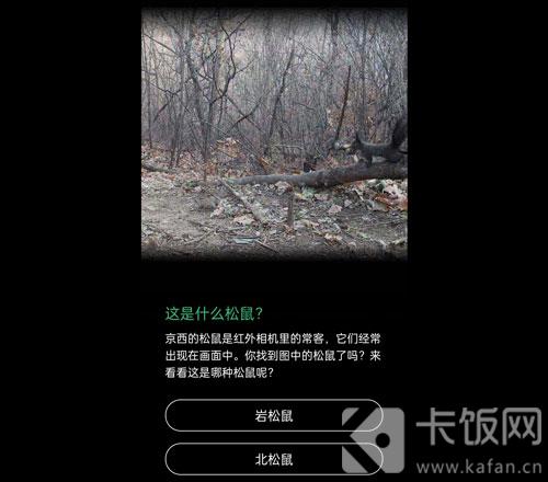 蚂蚁森林保护地巡护答案