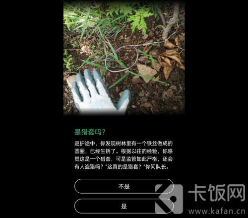 蚂蚁森林保护地巡护答案