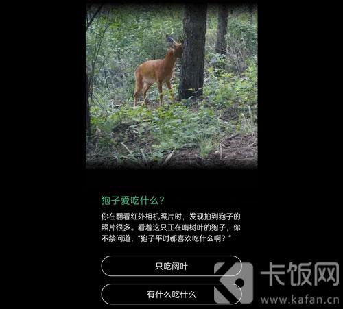 蚂蚁森林保护地巡护答案