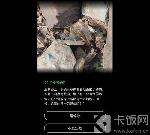 蚂蚁森林保护地巡护答案