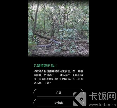 蚂蚁森林保护地巡护答案