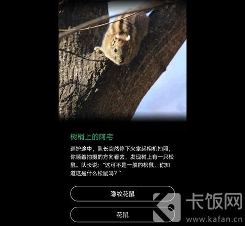 蚂蚁森林保护地巡护答案