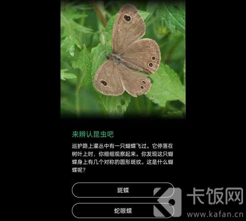 蚂蚁森林保护地巡护答案