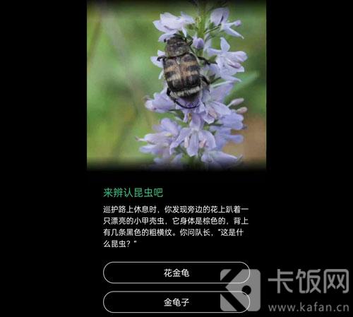 蚂蚁森林保护地巡护答案
