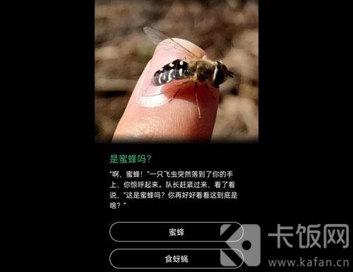 蚂蚁森林保护地巡护答案