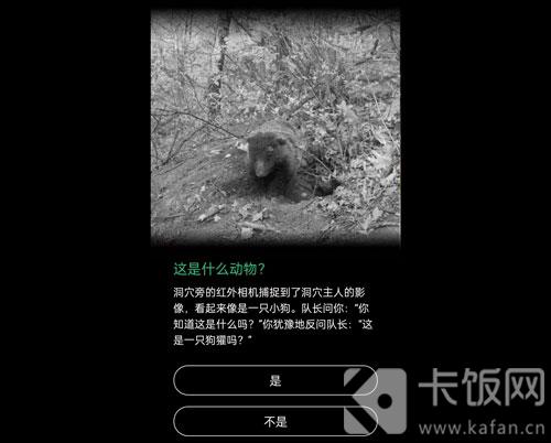 蚂蚁森林保护地巡护答案