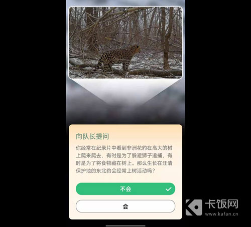 蚂蚁森林保护地巡护答案