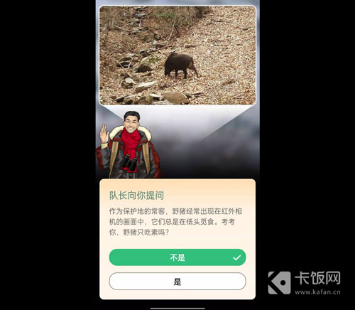 蚂蚁森林保护地巡护答案