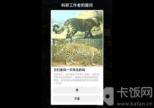 蚂蚁森林保护地巡护答案