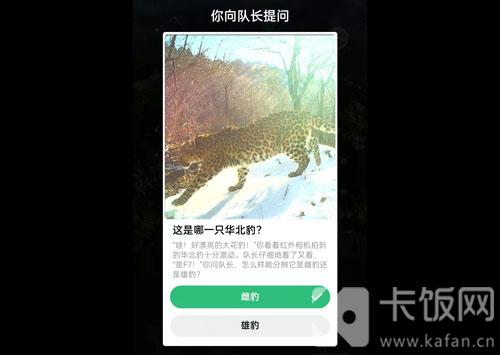 蚂蚁森林保护地巡护答案