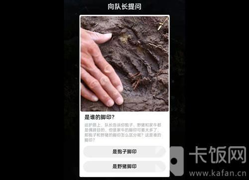 蚂蚁森林保护地巡护答案