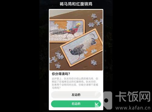 蚂蚁森林保护地巡护答案