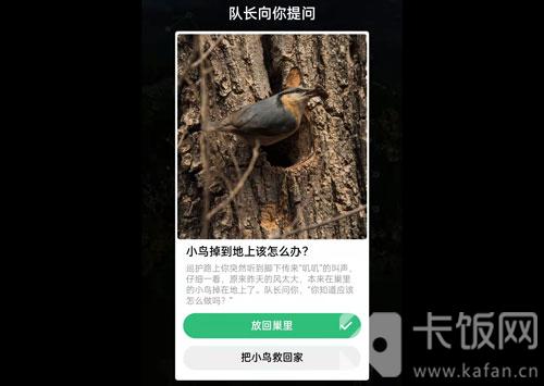 蚂蚁森林保护地巡护答案