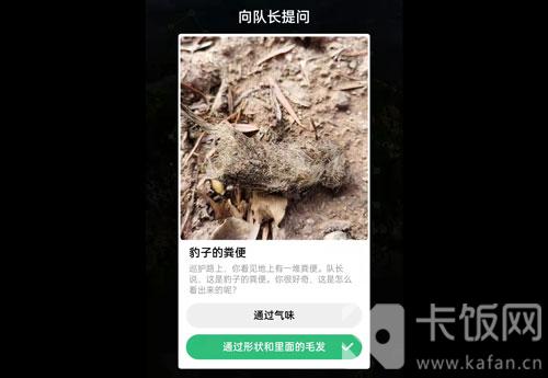 蚂蚁森林保护地巡护答案