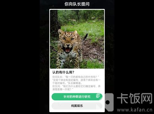 蚂蚁森林保护地巡护答案