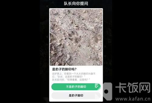 蚂蚁森林保护地巡护答案