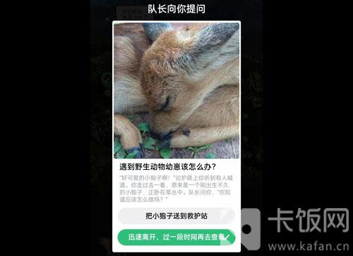 蚂蚁森林保护地巡护答案