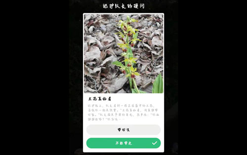 蚂蚁森林保护地巡护答案