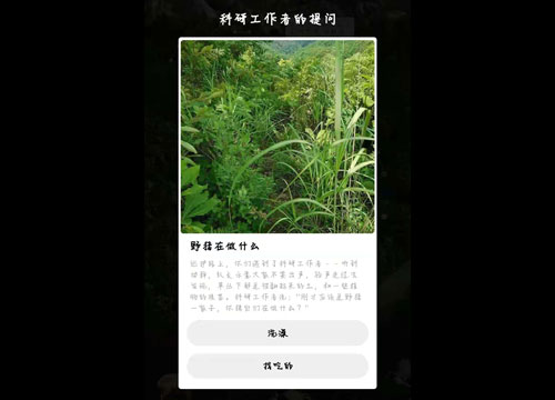 蚂蚁森林保护地巡护答案