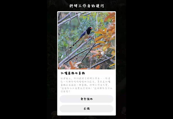 蚂蚁森林保护地巡护答案