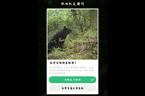蚂蚁森林保护地巡护答案