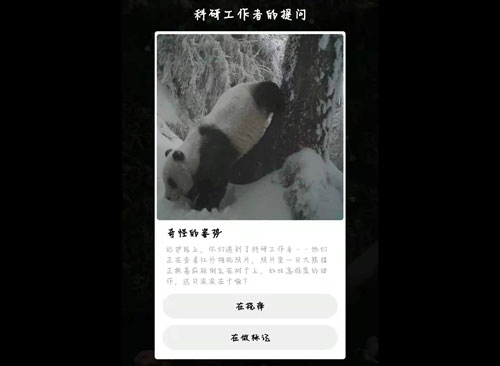 蚂蚁森林保护地巡护答案