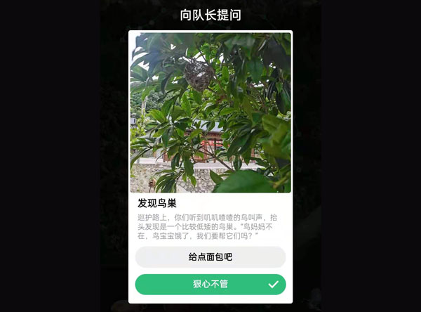 蚂蚁森林保护地巡护答案