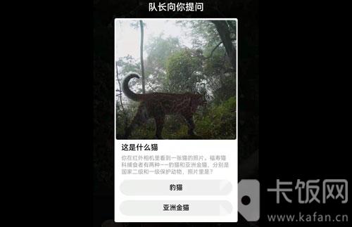 蚂蚁森林保护地巡护答案