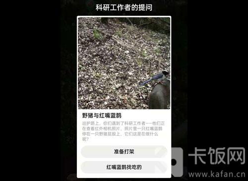 蚂蚁森林保护地巡护答案