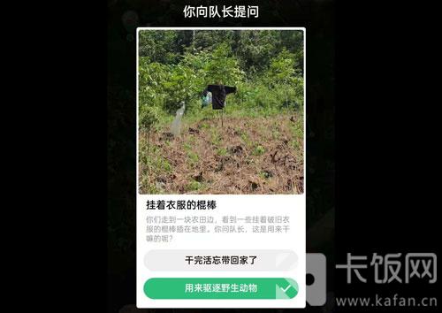 蚂蚁森林保护地巡护答案