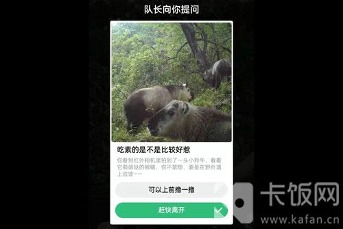 蚂蚁森林保护地巡护答案
