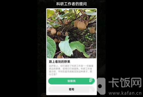 蚂蚁森林保护地巡护答案