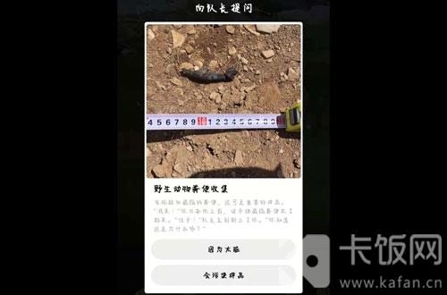 蚂蚁森林保护地巡护答案