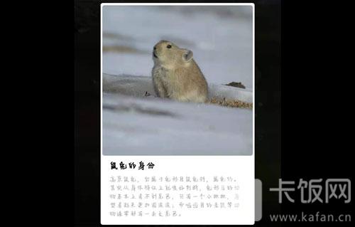 蚂蚁森林保护地巡护答案