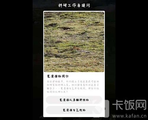 蚂蚁森林保护地巡护答案