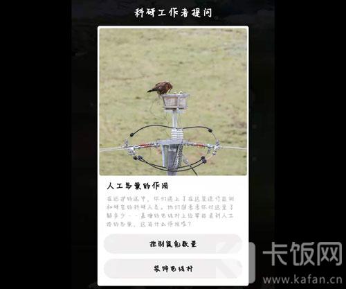 蚂蚁森林保护地巡护答案