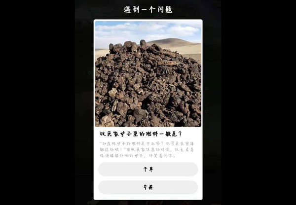 蚂蚁森林保护地巡护答案