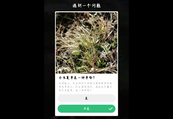 蚂蚁森林保护地巡护答案