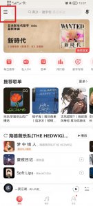 网易云音乐怎么隐藏在线状态 网易云音乐怎么关掉在线状态