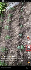 抖音怎么删除给别人的评论 抖音如何删除给别人的评论
